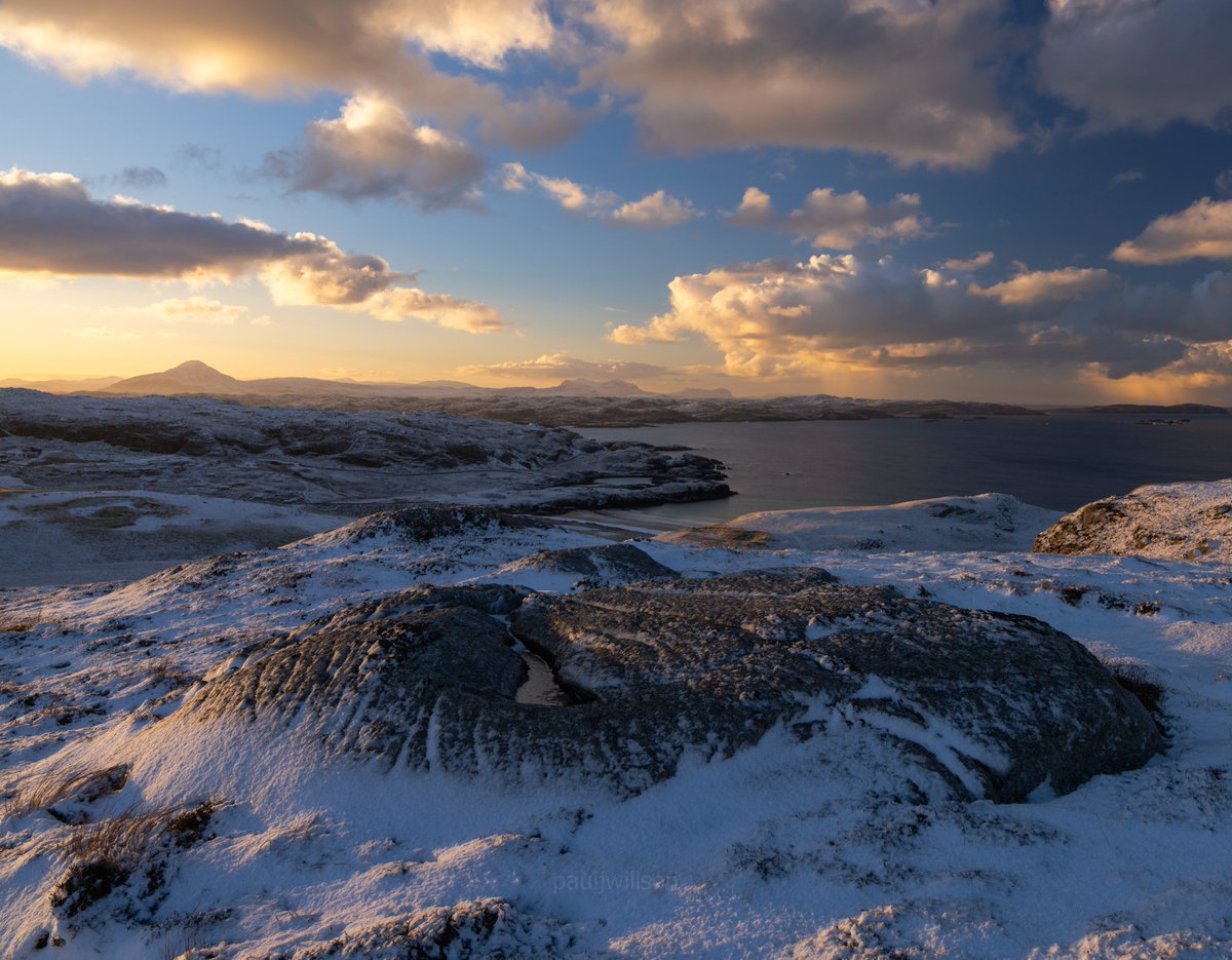 Paul Willson tweet media