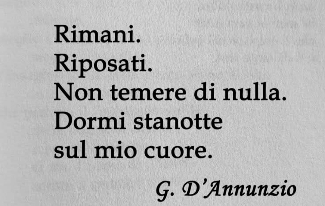 Chat Noir tweet media