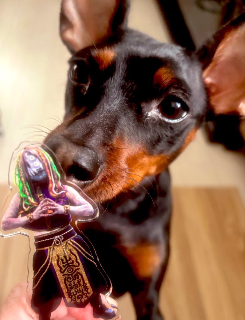 ァ⋆ 🌻 🪼 tweet media