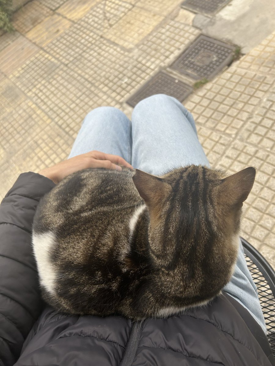 Luca Da Corte tweet media