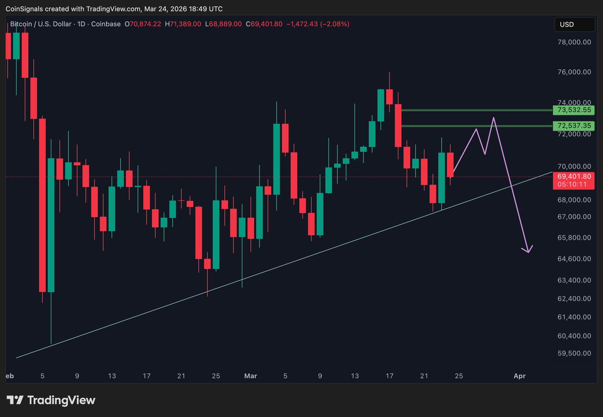 Coin Signals tweet media