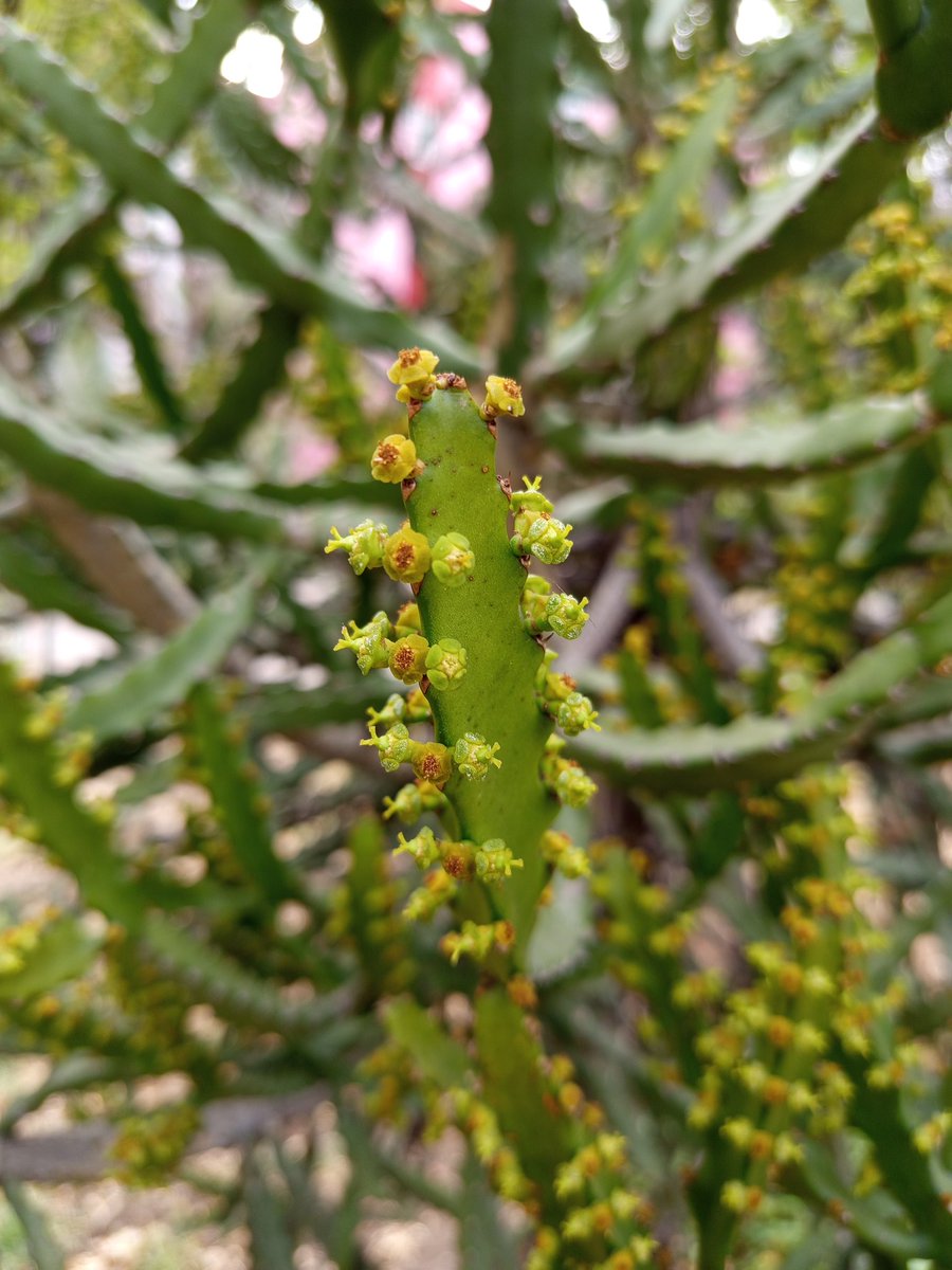 𝗞𝗶𝗻𝗱 ❤️‍🔥 ☂️ tweet media