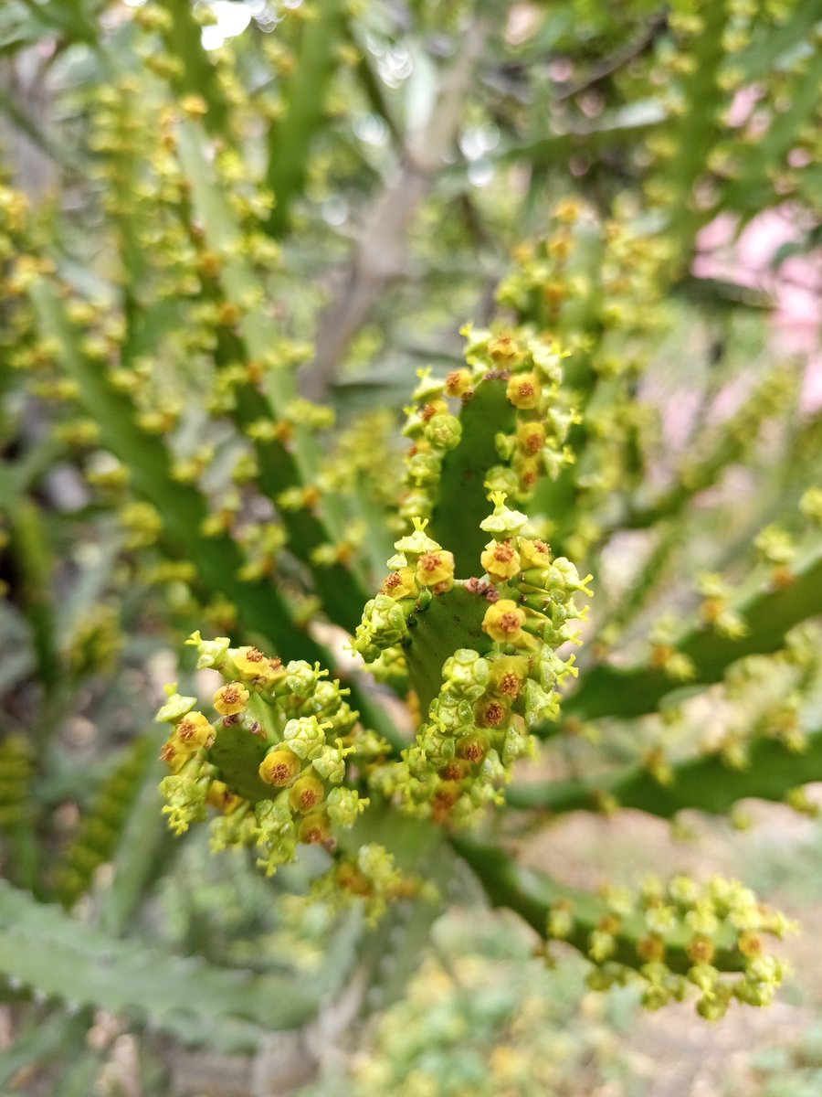 𝗞𝗶𝗻𝗱 ❤️‍🔥 ☂️ tweet media