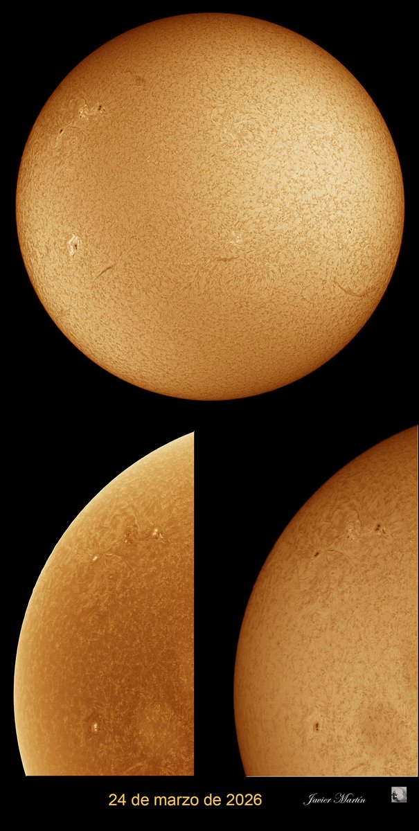 JAVIER MARTIN FERRERO tweet media