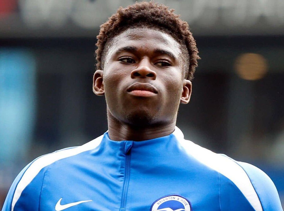 (fan) Frank 🧠🇾🇪 tweet media