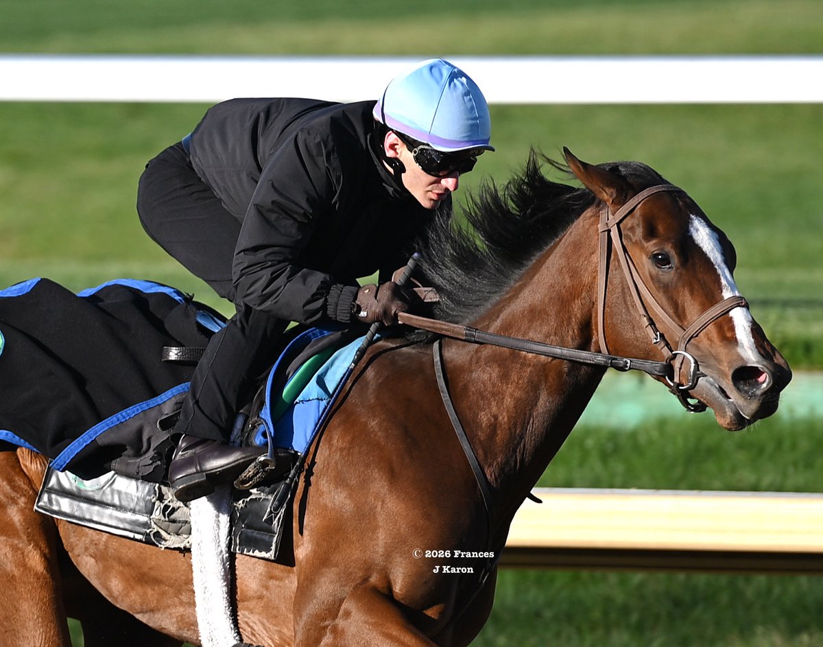 Frances J Karon tweet media