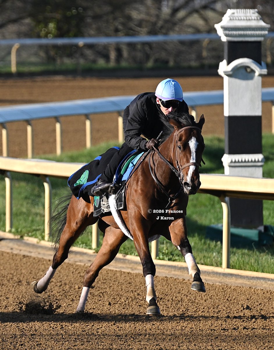 Frances J Karon tweet media