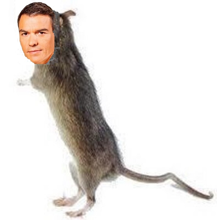 Chispi 🏍 | Russellista del Russellismo de Russell tweet media