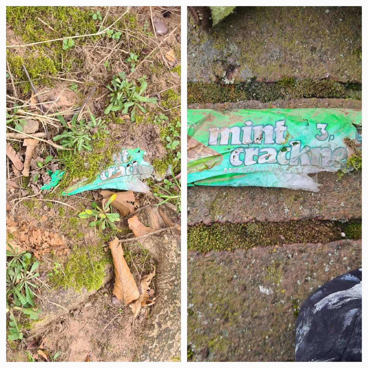 Mike The Litterpicker tweet media