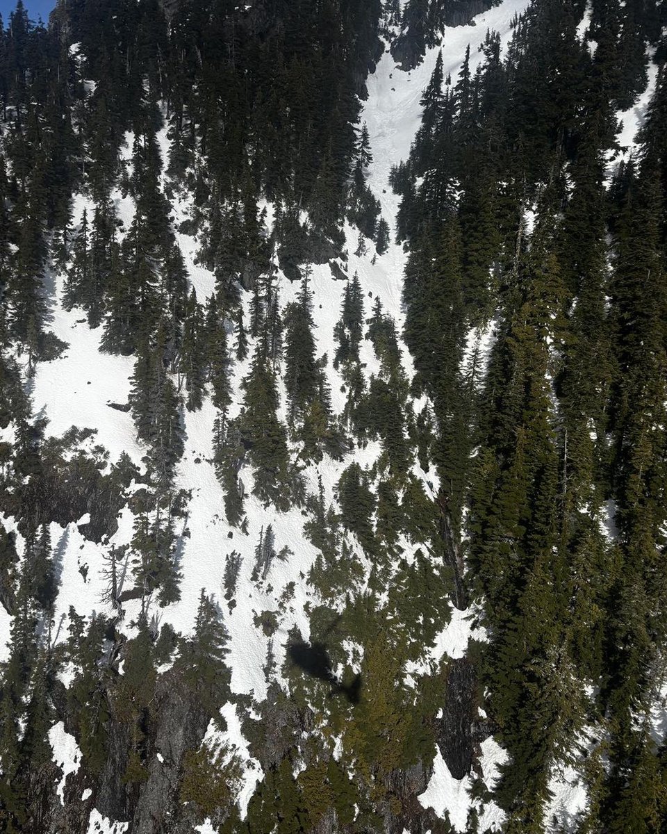 Connect Media Network tweet media