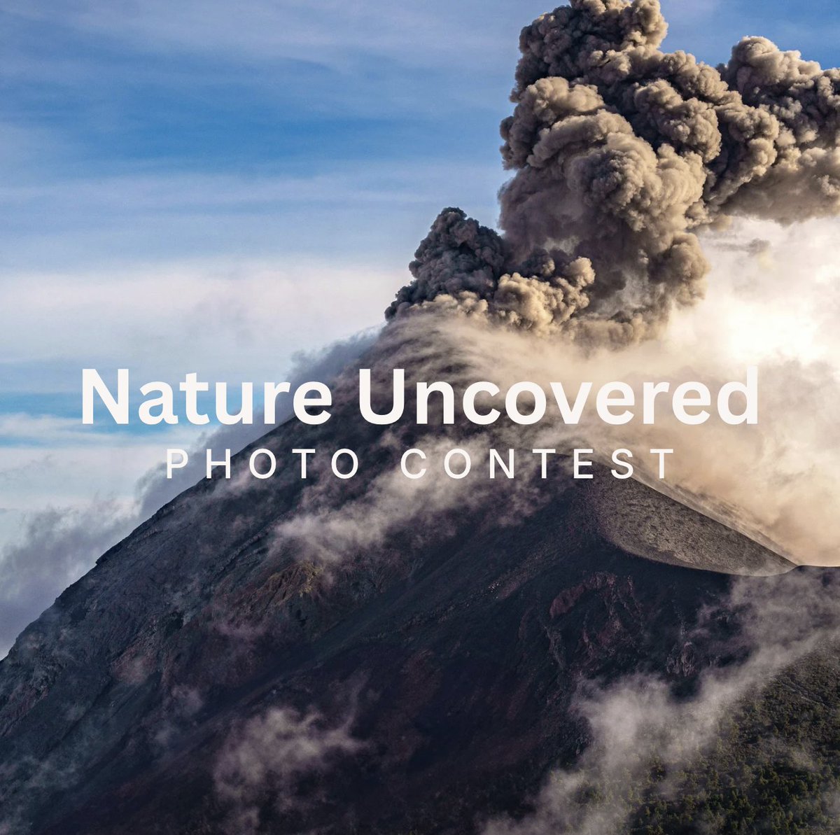 VIEWBUG 📷 ❤️ tweet media