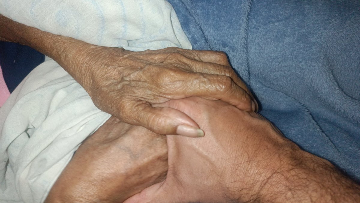 Venezolana de Prensa tweet media