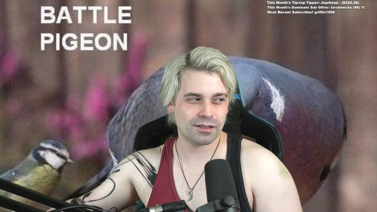 Daily Damien Haas tweet media