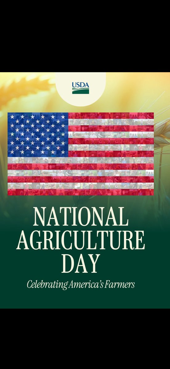 Dove Run Farms (Alan) tweet media