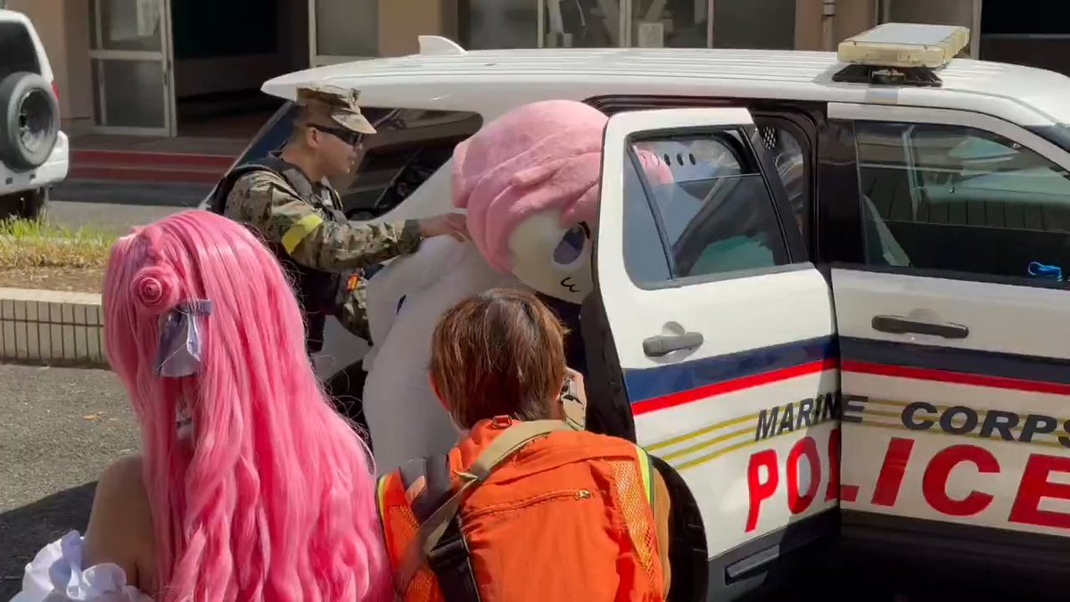 Rock Solid tweet media