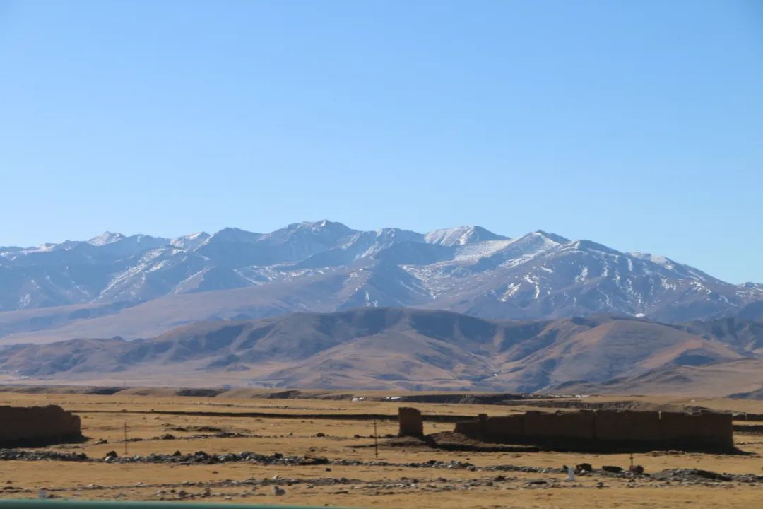 M. Francesca Tumatis tweet media