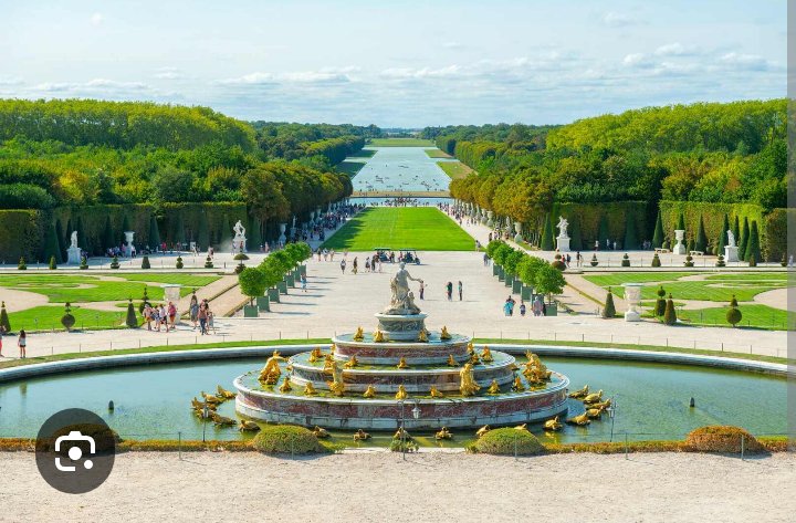 Marcello🐝 tweet media