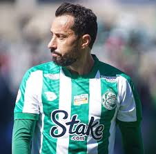 Domingos 🇭🇺 tweet media