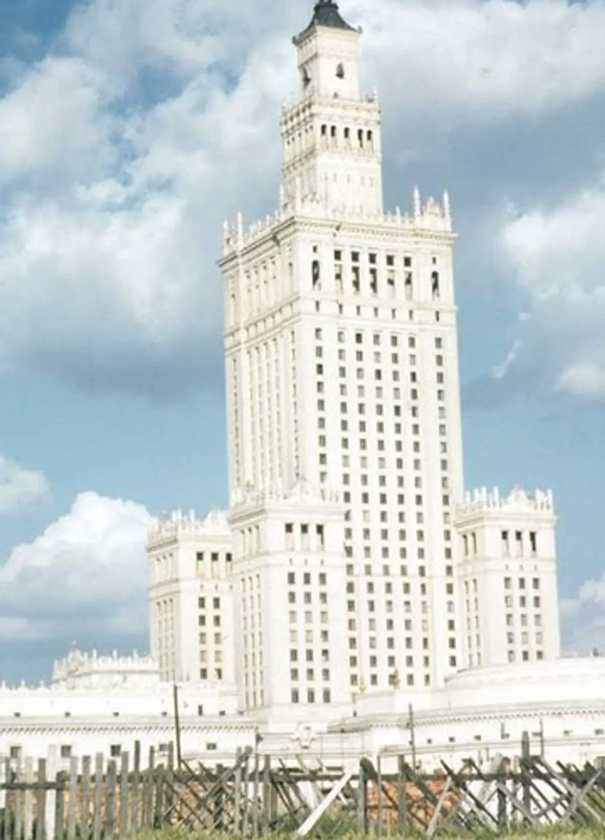 Just Mariusz tweet media