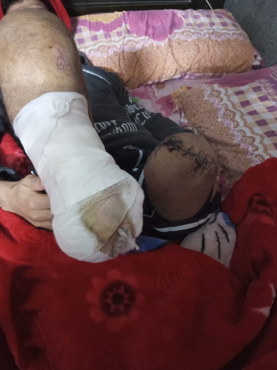 Olive 🌿 tweet media