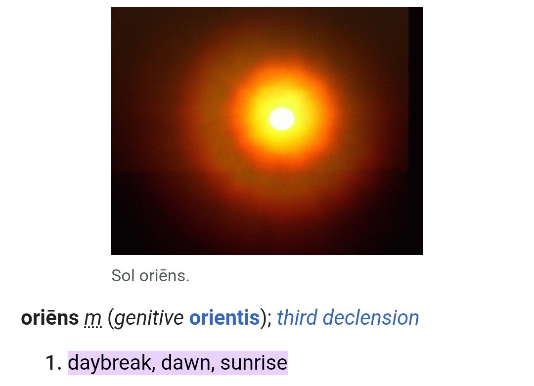 tweak 🍒 tweet media