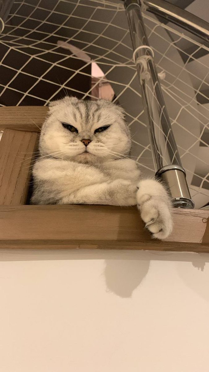 Hayrünnisa tweet media