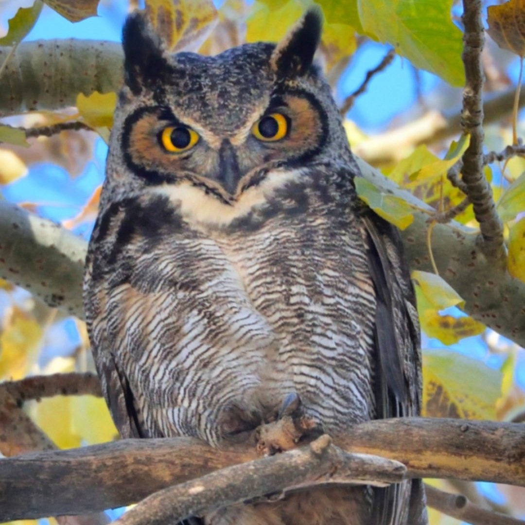 Anething tweet media