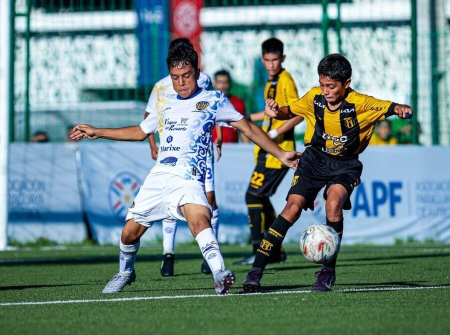 Formativas APF tweet media