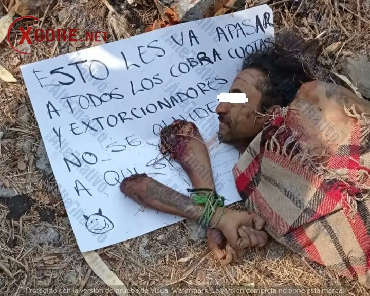 Pito Faez tweet media