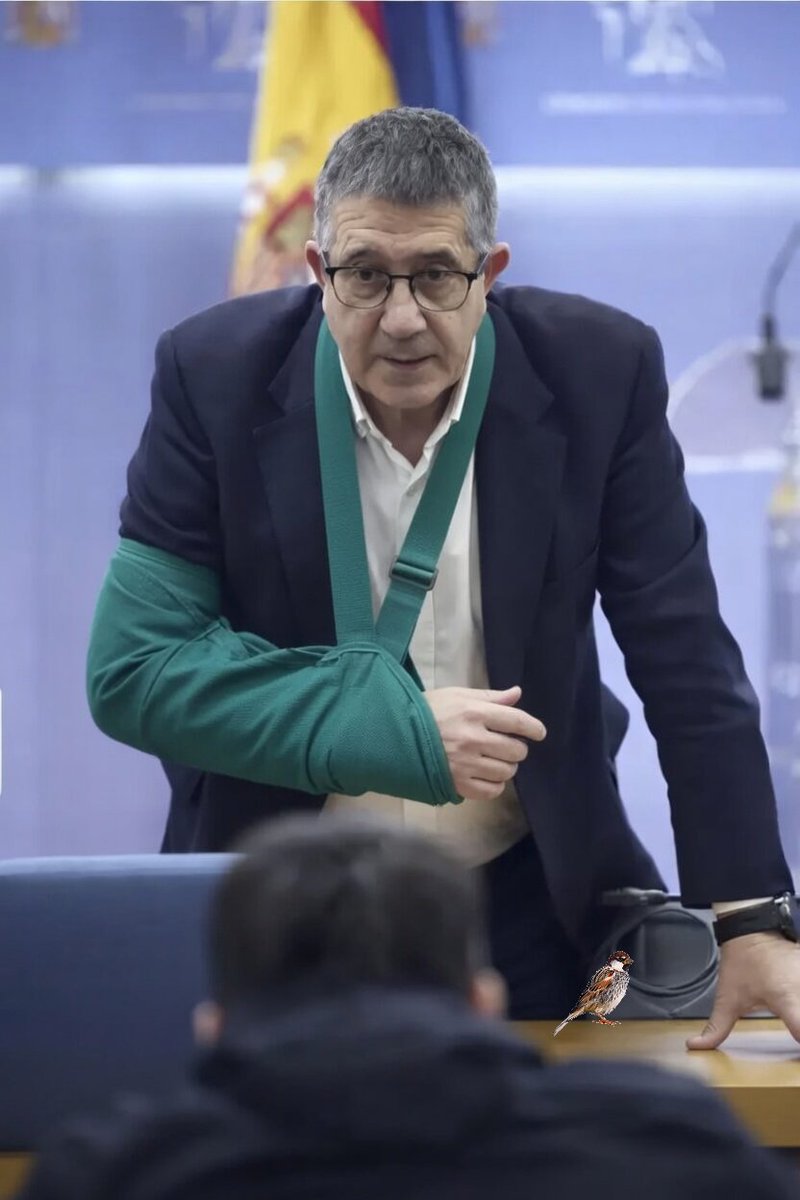 El Gorrión tweet media