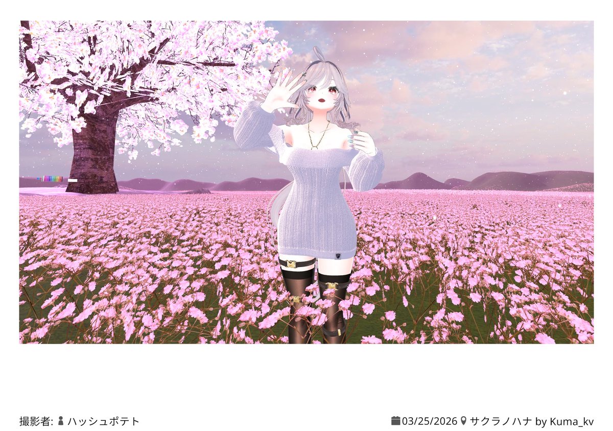 はっしゅぽてと tweet media