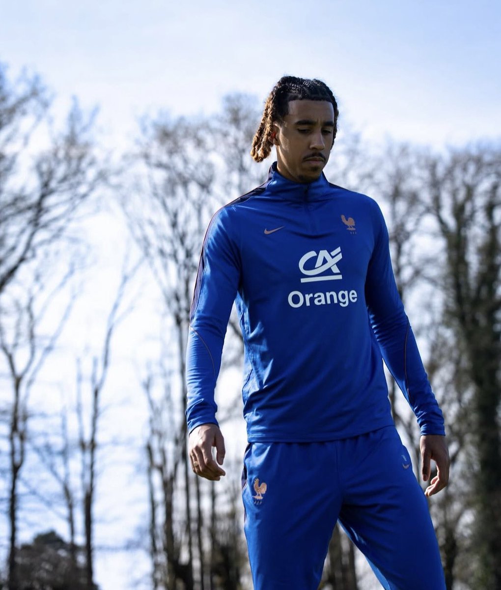 (fan) Frank 🧠🇾🇪 tweet media