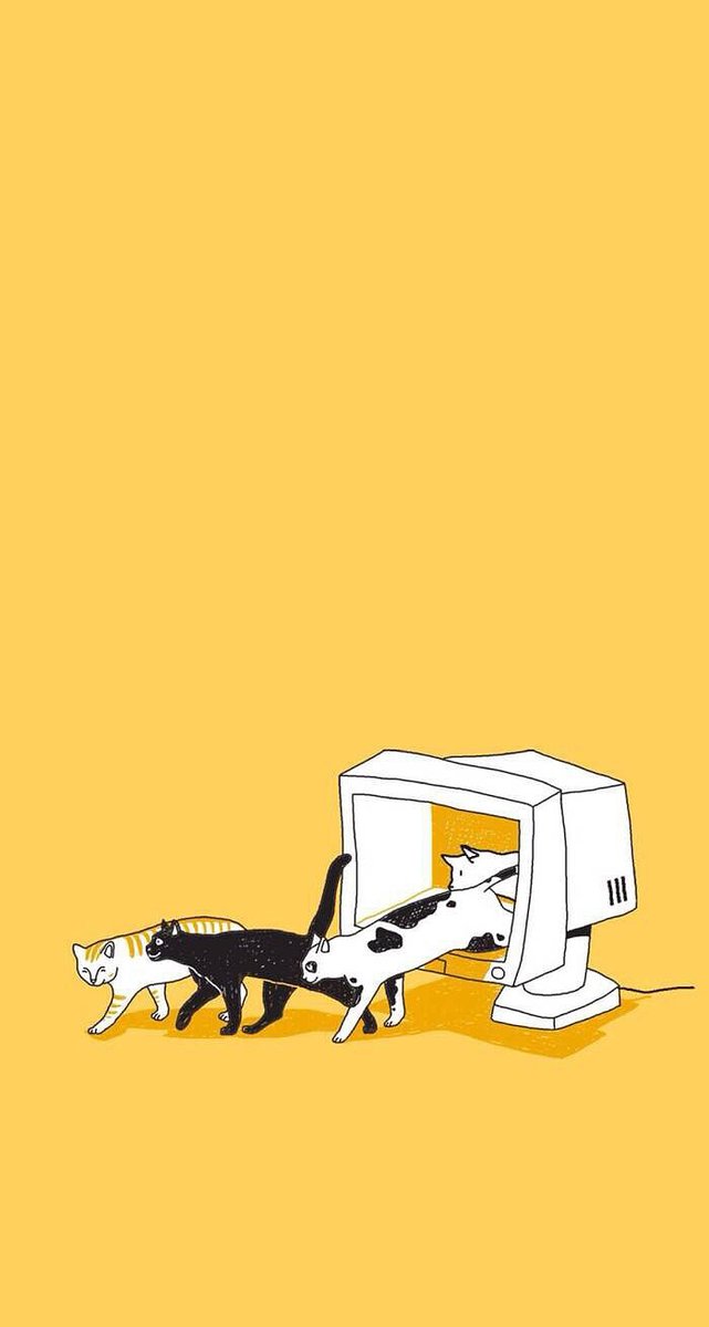 Integral Coach tweet media