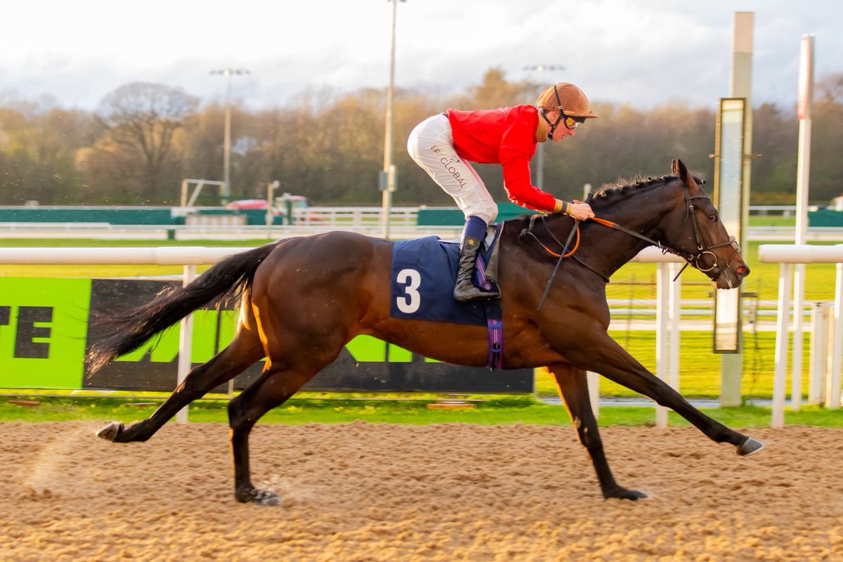 JSBLOODSTOCK's tweet image. Dominant performance 🔴🟡 Royal Standard 🟡🔴 (Sea The Stars @AgaKhanStuds) makes all to break his maiden at Wolverhampton under @HectorCrouch for @AndrewBalding2 and owners Micheal Blencowe and Valmont🏆

📍 @tattersalls1766 Book 1 purchase with @A_C_Elliott 

#JS #StridingAhead