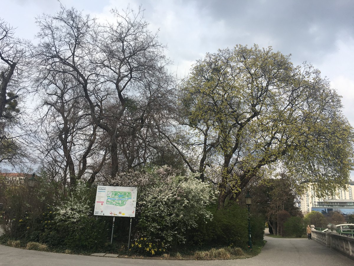 EmmaPeel_Knight's tweet image. A nice Meeting in good old #Vienna today and spring is in full swing there, at the Wiener Stadtpark...they call it the green #Jewel  in the heart of #Vienna😃😊😉😍🥰
cc: @KevinSpacey 🥰
