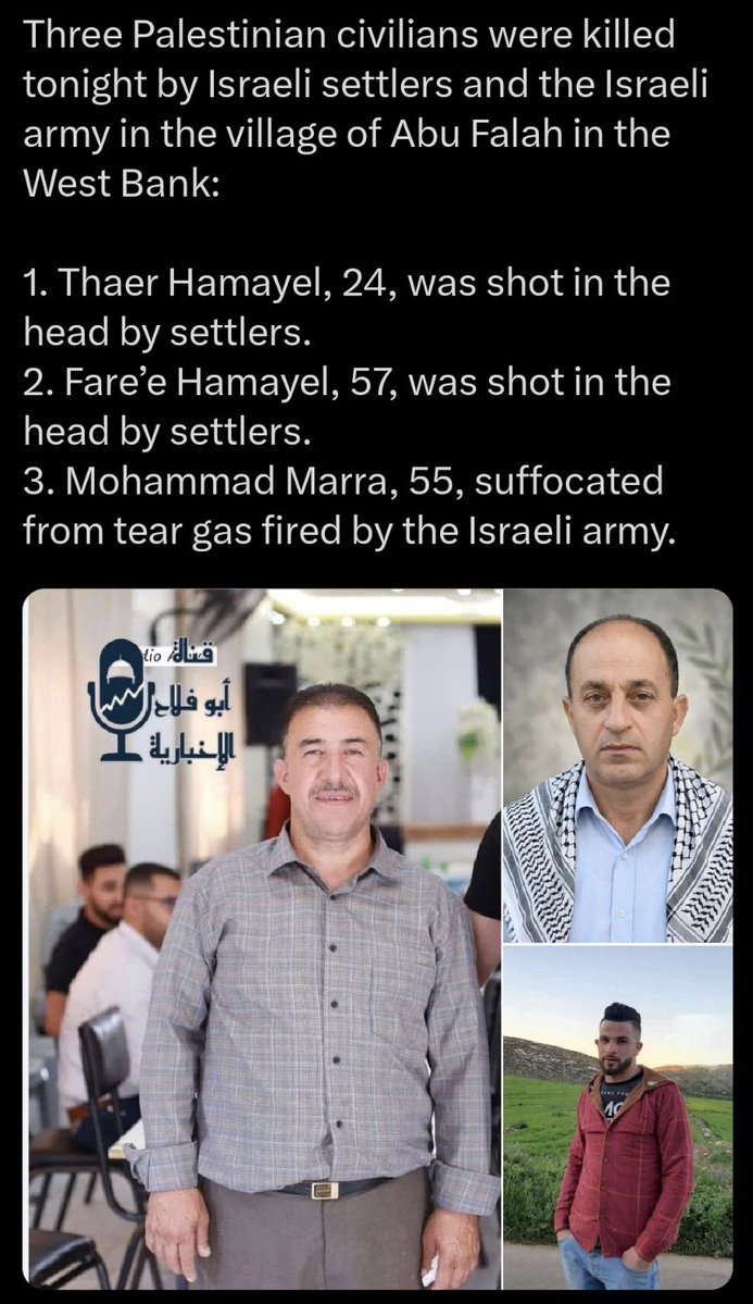 Masada Josh tweet media