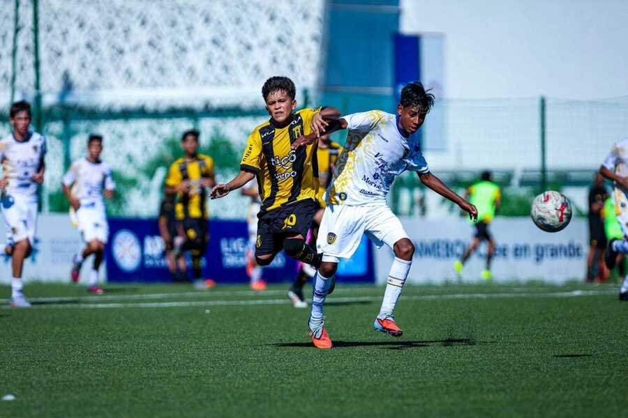 Formativas APF tweet media