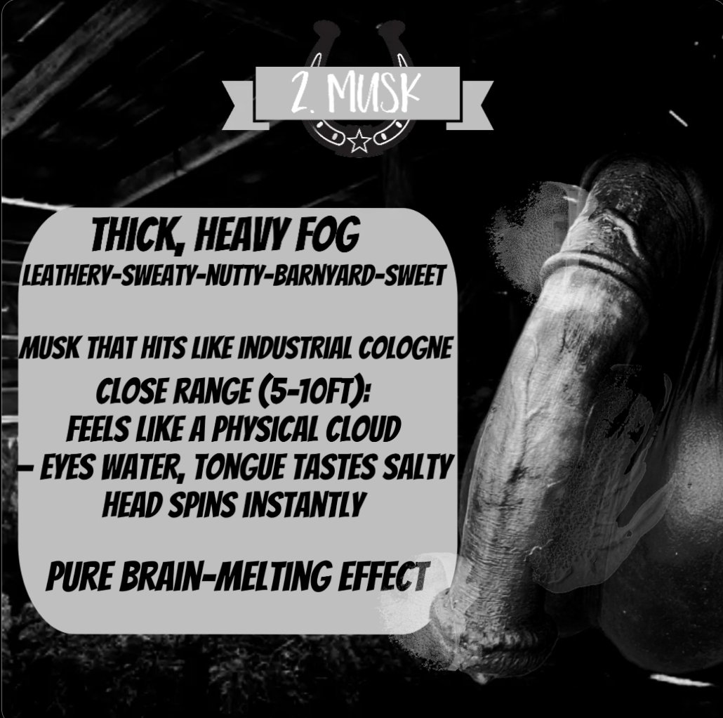 #0750 xX𝐓𝐑𝐀𝐈𝐍𝐄𝐑_𝐎𝐖𝐍𝐄𝐑Xx tweet media