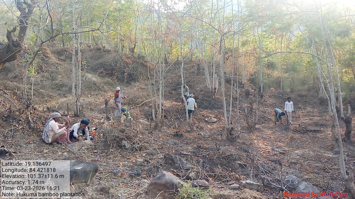 RO Samantiapalli tweet media