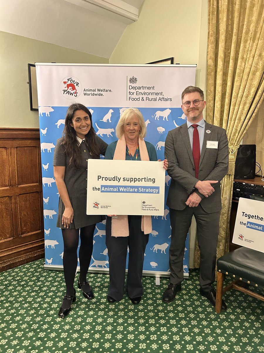 FOUR PAWS UK tweet media