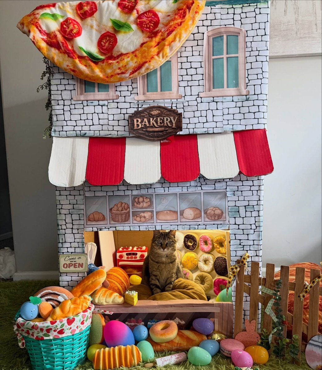 cats with jobs 🛠 tweet media