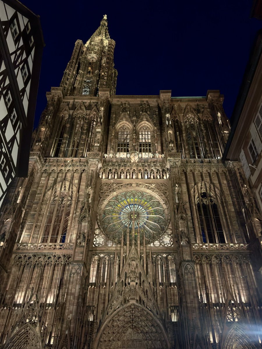 HARUKA@フランスワーホリ🇫🇷🏰🐭 tweet media