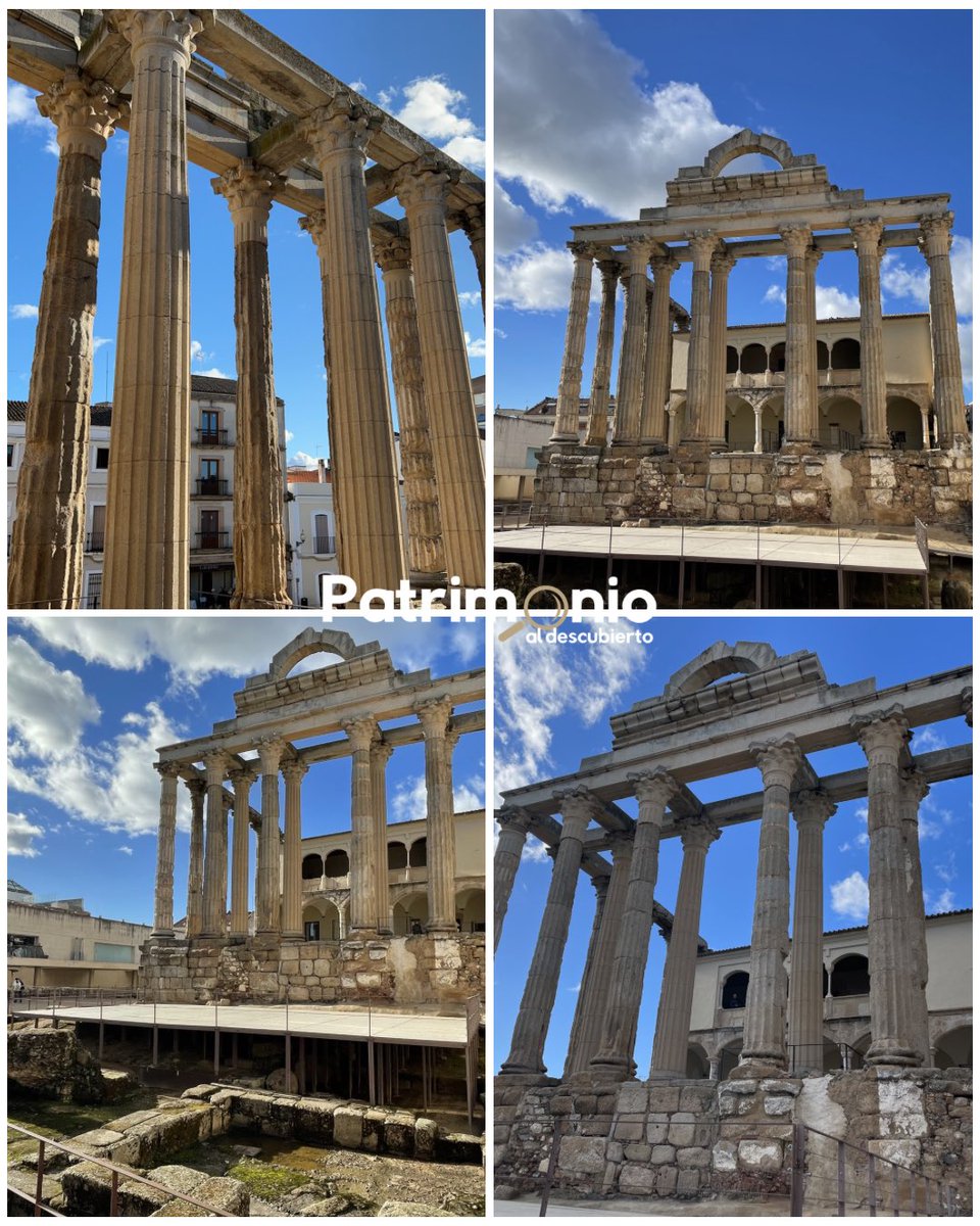 José A. CM tweet media