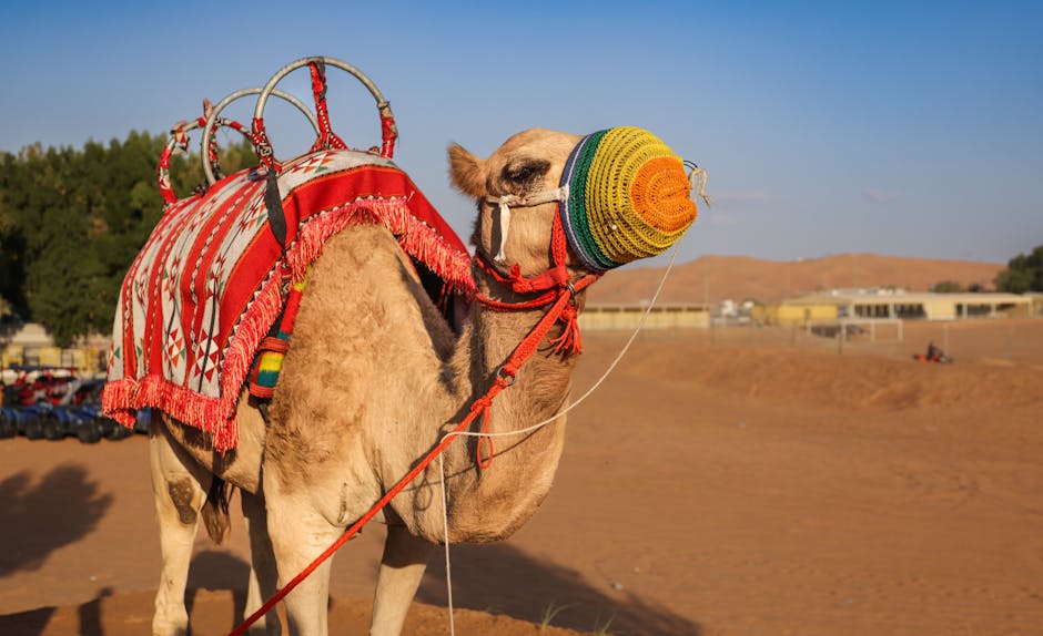 CabreraDah21733's tweet photo. ندرك أن الأيام المستقبل على حينها فقط يمنح الطرق الطويلة. marybelle cucvas https://t.co/S1fEvdLYDD