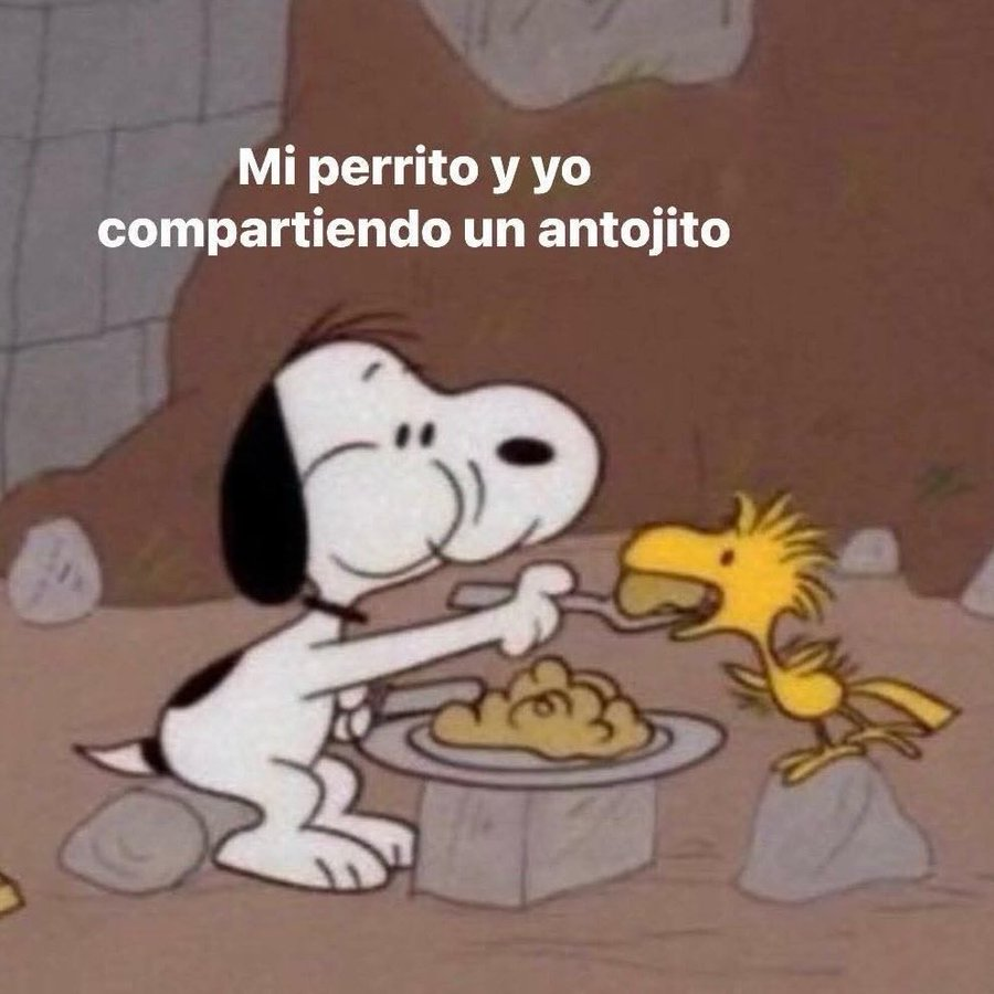 Salvador Iglesias Jr (@javisness) on Twitter photo 