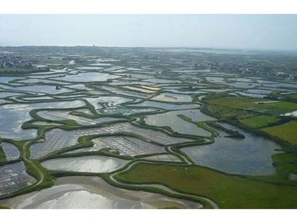 Emmanuel Talayrach tweet media