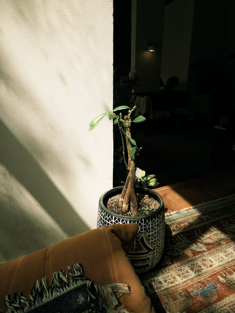 عبدالله آل موسى tweet media