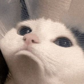 Moneroon tweet media