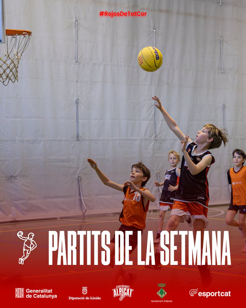 CbAlpicat tweet media