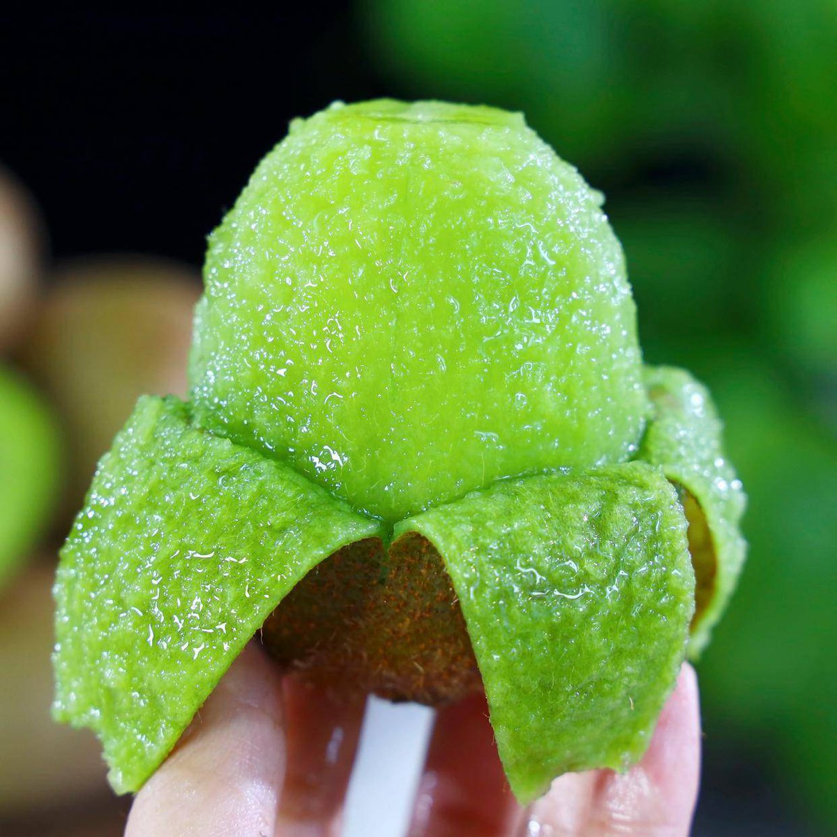 ajeebkhan tweet media